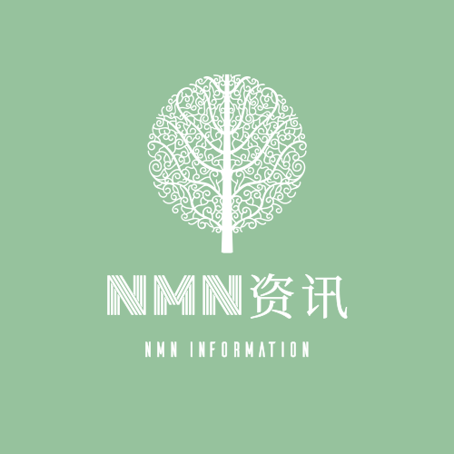 NMN中国